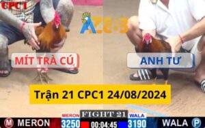 Trận 21 CPC1 24/08/2024 - Gà Mít Trà Cú Bị Đá Gãy Giò Trong Trận Xổ 200 Triệu