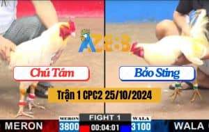 Trận 1 CPC2 Ngày 25/10/2024 - Anh Bảo Sting Chấp Ngông Và Cái Kết
