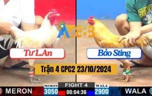 Trận 4 CPC2 Ngày 23/10/2024 - Úa Chân Xanh Hạ Mẻ Cú Xịn Của Idol