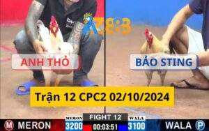 Trận 12 CPC2 02/10/2024 - Anh Thỏ Đối Đầu Với Bảo Sting Và Cái Kết