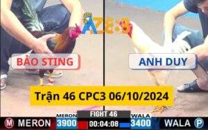 Trận 46 CPC3 06/10/2024 - Bảo Sting Và Anh Duy