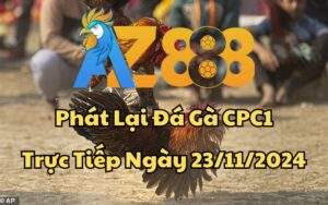 Phát Lại Đá Gà CPC1 Trực Tiếp Ngày 23/11/2024