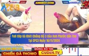 Full Clip Gà Khét Chồng Độ 3 Của Anh Phước Cần Thơ 16/11/2024 tại CPC3
