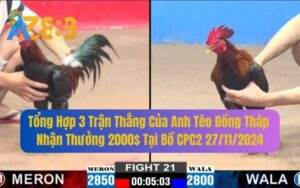 Tổng Hợp 3 Trận Thắng Của Anh Tèo Đồng Tháp Lụm 2000 USD Tại CPC2