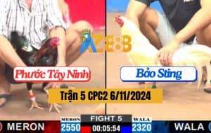 Trận 5 CPC2 Ngày 6/11/2024 Chỉ Có Tuyệt Đối Mới Hạ Được Ông Trùm Wala