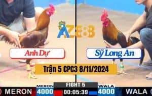Trận 5 CPC3 Ngày 8/11/2024 - Gà Anh Dự Đâm Cựa Ghê Hồn 2 Đá Có Kết Quả