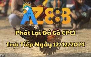 Phát Lại Đá Gà CPC1 Trực Tiếp Ngày 12/12/2024