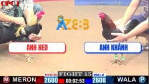 Trận 15 CPC1 23/12/2024 - Trăm Đá Không Bằng Một Đá, Phản Kèo Ăn 1