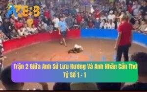 Trận 2 Giữa Anh Sở Lưu Hương Và Anh Nhân Cần Thơ, Tỷ Số 1 - 1