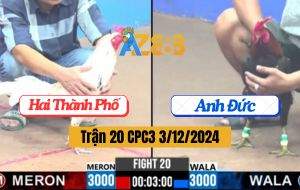 Trận 20 CPC3 3/12/2024 - Gà Anh Đức Kết Liễu Gà Anh Hai Thành Phố