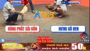 Trận 3 Giải Bồ Cây Me 30/12/2024: Anh Hùng Phát Và Anh Hưng Gò Đen