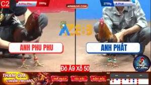 Trận 33 CPC2 13/12/2024 - Anh Phu Phu Không Làm Anh Em Thất Vọng