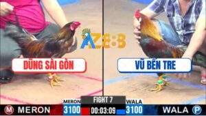 Trận 7 CPC3 7/12/2024 Điều Tích Bạc Đá Mấy Chân Khiến Đối Thủ Gãy Giò