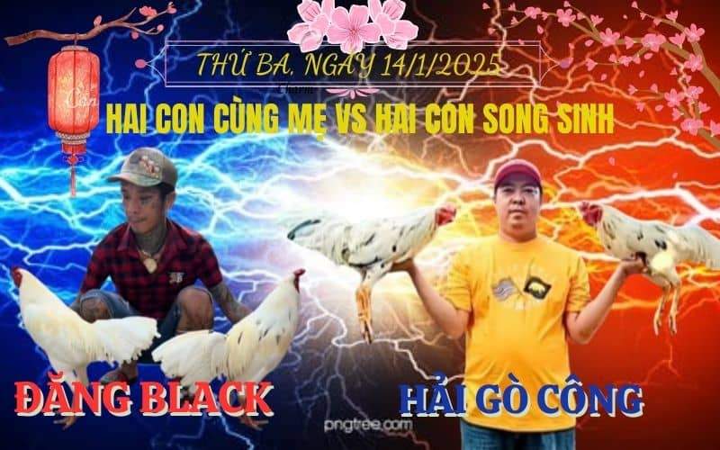 Kèo Hẹn Giữa Anh Đăng Black Và Anh Hải Gò Công Tại CPC3 Ngày 14/1/2025 Kèo Hẹn Giữa Anh Đăng Black Và Anh Hải Gò Công Tại CPC3 Ngày 14/1/2025
