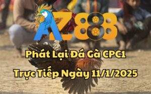 Phát Lại Đá Gà CPC1 Trực Tiếp Ngày 11/01/2025