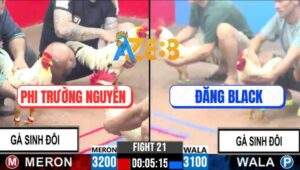 Trận 21 CPC3 14/1/2025 - Siêu Phẩm Hai Cặp Gà Sinh Đôi Gặp Nhau