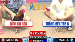 Trận 30 CPC1 18/1/2025 - Anh Bửu Sài Gòn Về Nhì Lụm Hơn 1 Tỏi