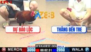 Trận 35 CPC1 9/1/2025 - Gà Anh Thắng Bến Tre Chuyển Bại Thành Thắng