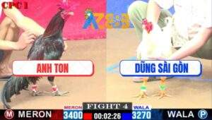 Trận 4 CPC1 18/1/2025 - Hay Không Bằng Hên