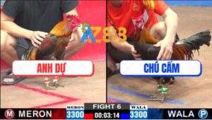 Trận 6 CPC2 5/1/2025 - Hàng Xịn Của Chú Cấm Đâm Như Chỉa