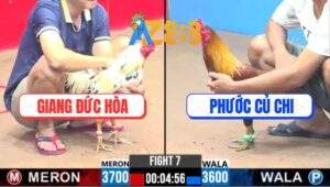 Trận 7 CPC3 23/1/2025 - Gà Bướm Đâm Đối Thủ Không Kịp Nhìn