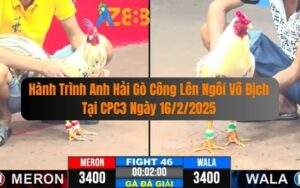 Hành Trình Anh Hải Gò Công Lên Ngôi Vô Địch Tại CPC3 Ngày 16/2/2025