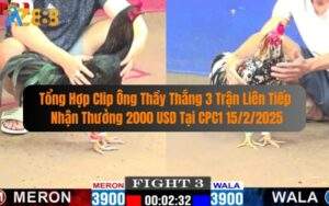 Tổng Hợp Clip Ông Thầy Thắng 3 Trận Liên Tiếp Nhận Thưởng 2000 USD
