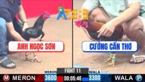 Trận 11 CPC3 23/2/2025 - Que Nuốt Ói Lật Kèo Quá Đẳng Cấp