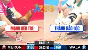 Trận 12 CPC3 15/2/2025 - Xanh Nài Hay Nhưng Gà Đỏ Quá Trâu