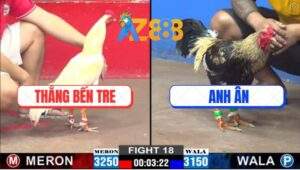 Trận 18 CPC2 21/2/2025 Bổn Hiệu Anh Bảo Sting Đá Chân Nào Thấm Chân Đó