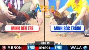 Trận 19 CPC3 16/2/2025 - Má Minh Lụm Cái Xổ 300 Ngon Lành