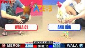 Trận 21 CPC1 25/2/2025 - Gà Que WALA C1 Lội Ngược Dòng Nước Thành Cồng