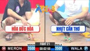 Trận 21 CPC3 24/2/2025 Anh Tèo Sửa Gà Lật Ngược Tình Thế Quá Đẳng Cấp