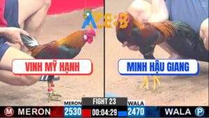 Trận 23 CPC3 24/2/2025 - Mỹ Lai Đá Asill Rặc Không Nhấc Được Chân