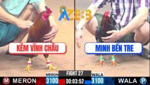 Trận 27 CPC3 20/2/2025 - Gà Anh Tèo Bú Vô Gà Má Minh Bung Bồ Bỏ Chạy