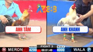 Trận 3 CPC2 28/2/2025 - Anh Khanh Hạ Anh Tám Lụm Cái Xổ 100 Quá Êm