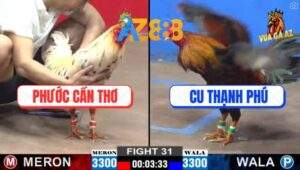 Trận 31 CPC2 21/2/2025 - Phản Kèo Ăn 1, Biện Đi Xá Thêm Một Khúc