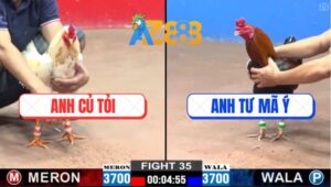 Trận 35 CPC2 28/2/2025 - Anh Củ Tỏi Quá Đen Bạc Ăn 1 Cũng Bị Phản