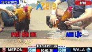 Trận 39 CPC1 18/2/2025 - Điều Anh Phát Bay Né Đâm Gà Anh Lộc Xòe Đuôi