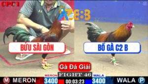 Trận 46 CPC1 22/2/2025 - Anh Bửu Hạ Bồ Gà C2 Giành 1 Vé Tranh Nhì