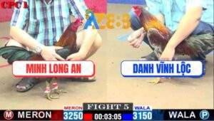 Trận 5 CPC1 27/2/2025 - Anh Danh Vĩnh Lộc Quá Hừng Lụm Luôn Má Minh