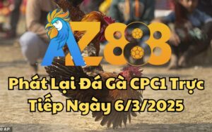 Phát Lại Đá Gà CPC1 Trực Tiếp Ngày 06/03/2025