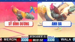 Trận 1 CPC1 13/3/2025 - Gà Anh Ba Bỏ Mạng Cũng Đá Gà Anh Sỹ Băng Hà