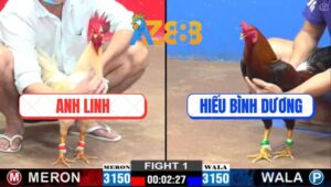 Trận 1 CPC2 2/3/2025 - Anh Bảo Sting Thả Gà Dùm Tay Nước Bưng Ra Ngoài