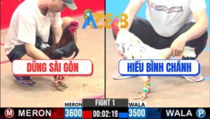 Trận 1 CPC3 4/3/2025 - Anh Hiếu Bình Chánh Mở Bát 1 Đá Lấy Kem Quá Đẹp