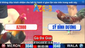 Trận 14 CPC1 6/3/2025 - Xóm Gà AZ Và Anh Sỹ Chia Điểm Trong Trận Đầu Tiên