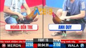 Trận 15 CPC3 17/3/2025 - Chú Khanh Thả Gà Chưa Đá Đã Bay Bồ