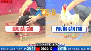 Trận 15 CPC1 29/3/2025 - Anh Phước Cần Thơ Sửa Gà Phản Ăn 1 Đẳng Cấp