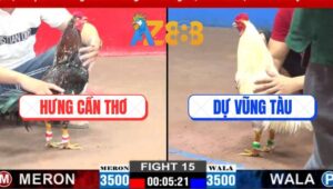 Trận 15 CPC2 5/3/2025 - Bướm Anh Dự Tiễn Bông Anh Hưng Cần Thơ