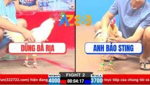 Trận 2 CPC1 21/3/2025 - Bướm Hiệu Bảo Sting Đá Đối Thủ Bại Liệt